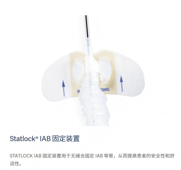 Maquet����Ψ��������Mega 7.5Fr. 30cc 0684-00-0294-05