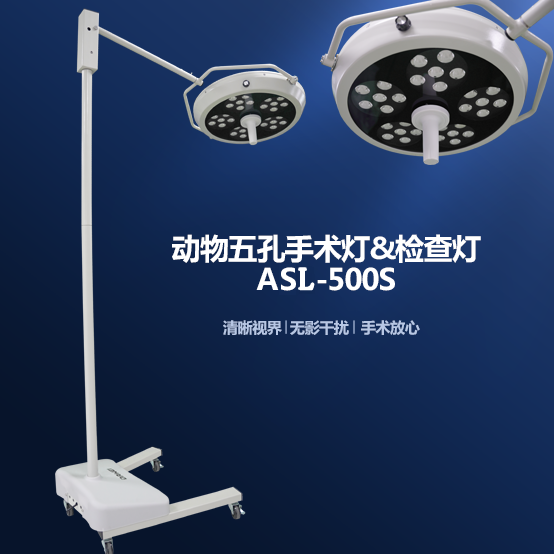 ������������Ӱ�� ����ר����Ӱ�� ʵ���������������������Ӱ��