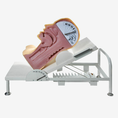 ���ʻ���ģ�� ���������������ʾģ��