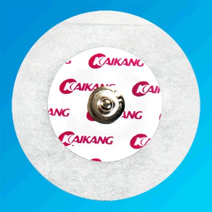 һ�����ĵ�缫Ƭ