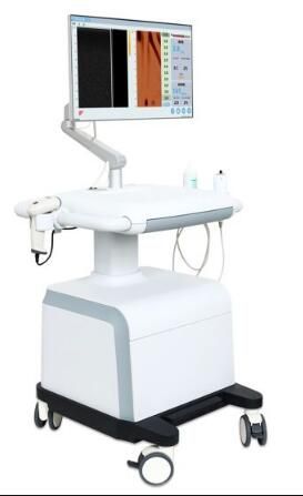 ����ά�����ڼ�������