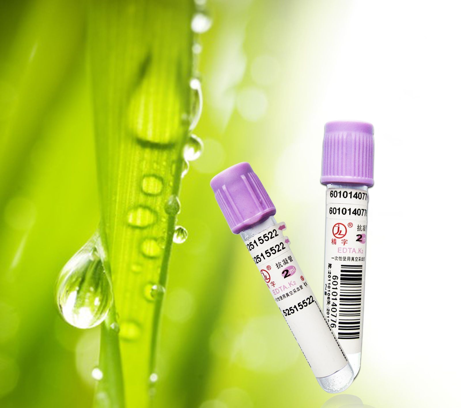 һ����ʹ����ղ�Ѫ��