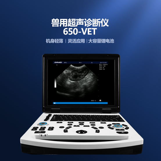 ����԰ʨ���ϻ����������