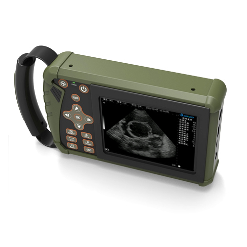 ����B����