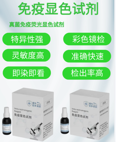 ���D-�Ͼ��Ǽ������ӫ��Ⱦɫ�Լ�