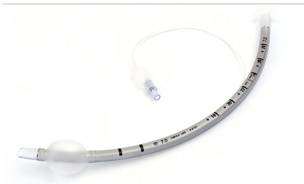 һ����ʹ�ó������ܲ��