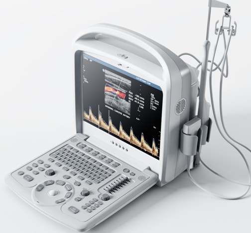 ȫ���ɲ�ʳ����Ҳʳ���Ӧ