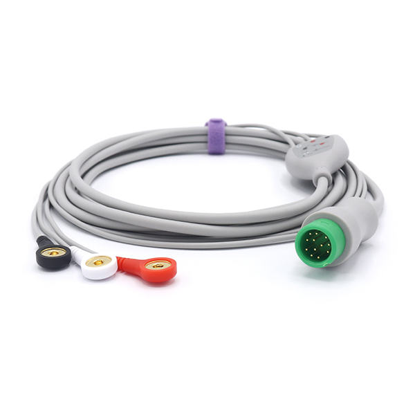 ���ݿ���3���ĵ��ʽ������