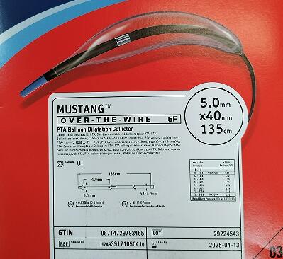 ��ʿ�ٿ�ѧ/Mustang����PTA�������ŵ���