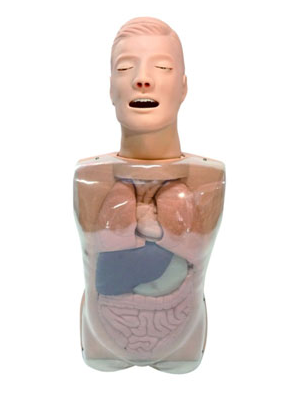 �������Һѵ��ģ�� �����ͨҺѵ��ģ��