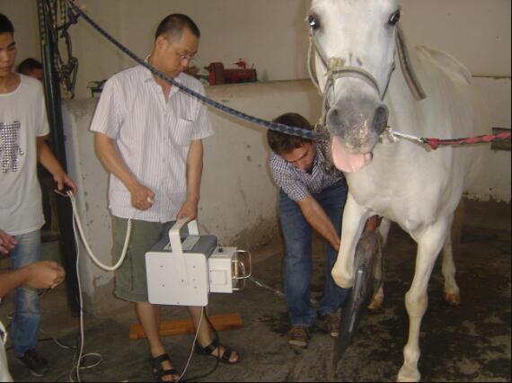 ����ҽԺ��X���