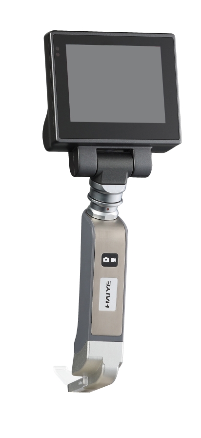 ���Ӻ���