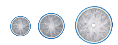 ���ʱ�����/�����пڱ�����/һ����ʹ���пڱ�����