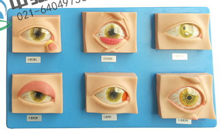 �����۲�3���Ŵ�ģ�� 20�ֳ����۲�����̬ģ��