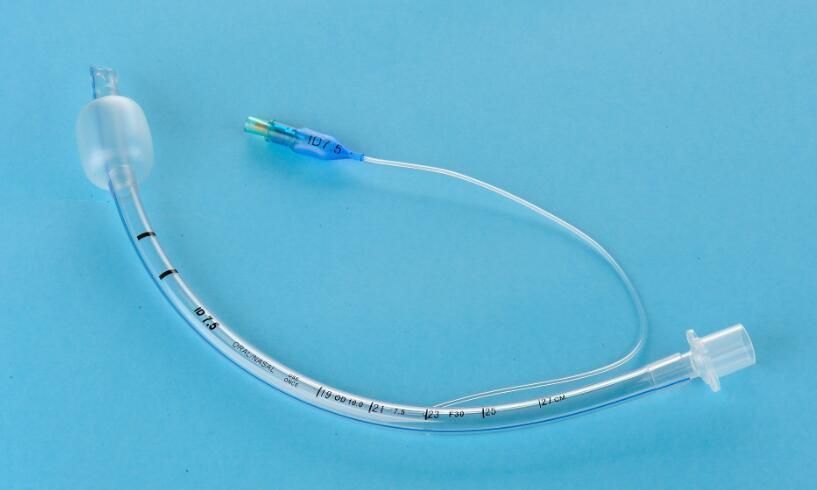 һ����ʹ�����ܲ��