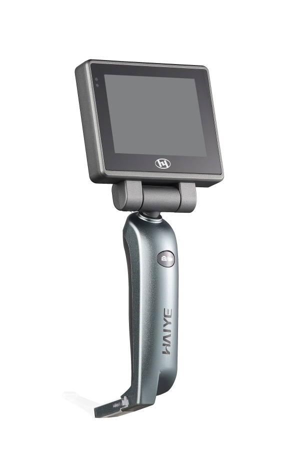 ���Ӻ���