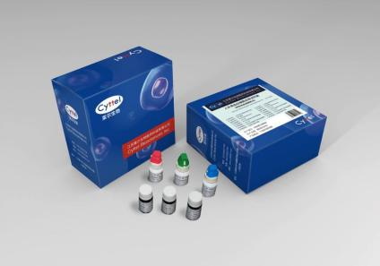 ������ɸ/��������