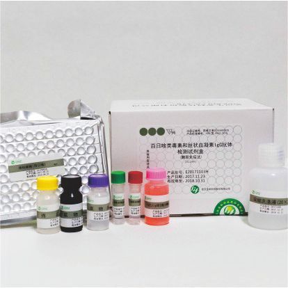 ���տ��඾�غ�˿״Ѫ����IgG�������Լ���