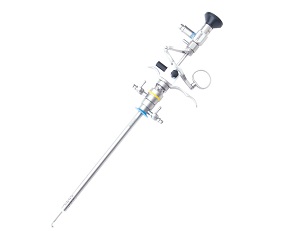 ����ư��׾������о�������ʽ������׾�