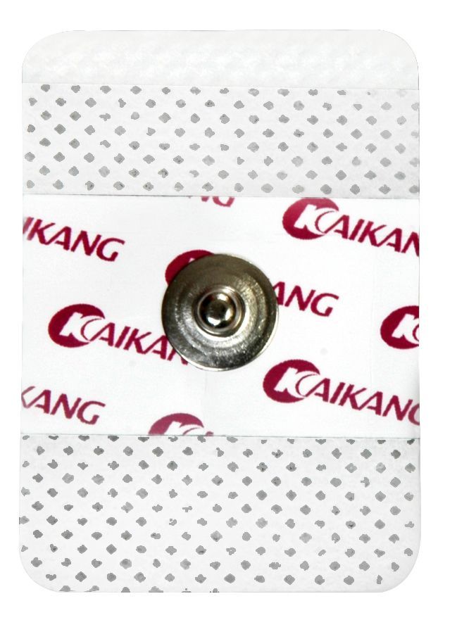 һ����ʹ���ĵ�缫 FW45