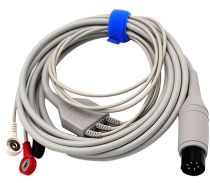 Ѫ��������