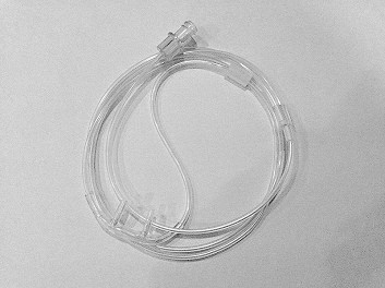 ��ĩ������̼�ɼ���