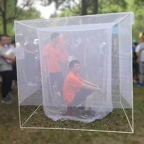 ����˫�����