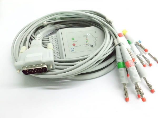 ������ϯ��ECG�ĵ�ͼ��ʮ��������