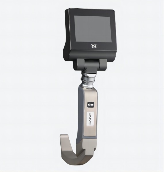 ���Ӻ���