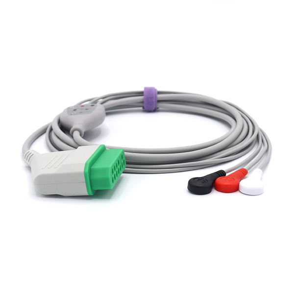 ����GE����Dash 2000/3000/4000,3����ʽһ�廯�ĵ絼����