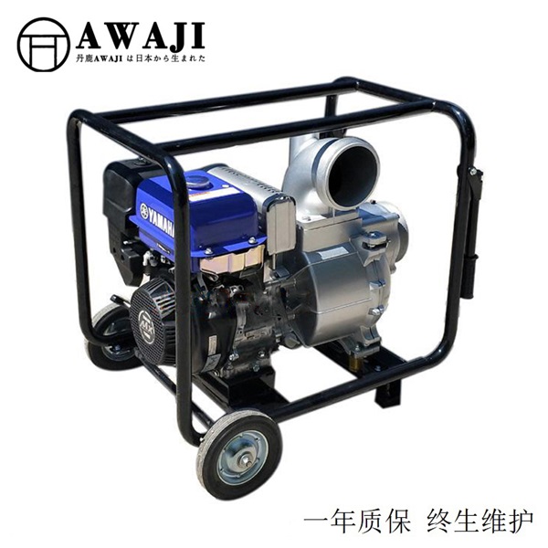 YAMAHA����������6������ˮ�ó��Ҽ۸�