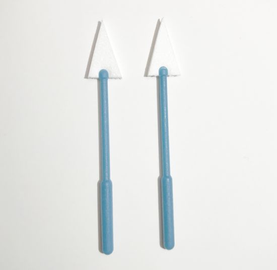 ������ǩ