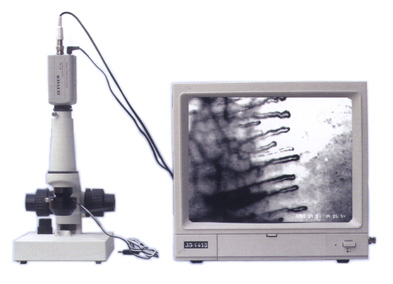 �ڰ�΢ѭ���۲���