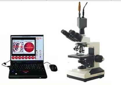 һ��Ѫ�����