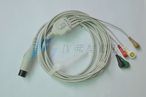 6P�ĵ�һ���������