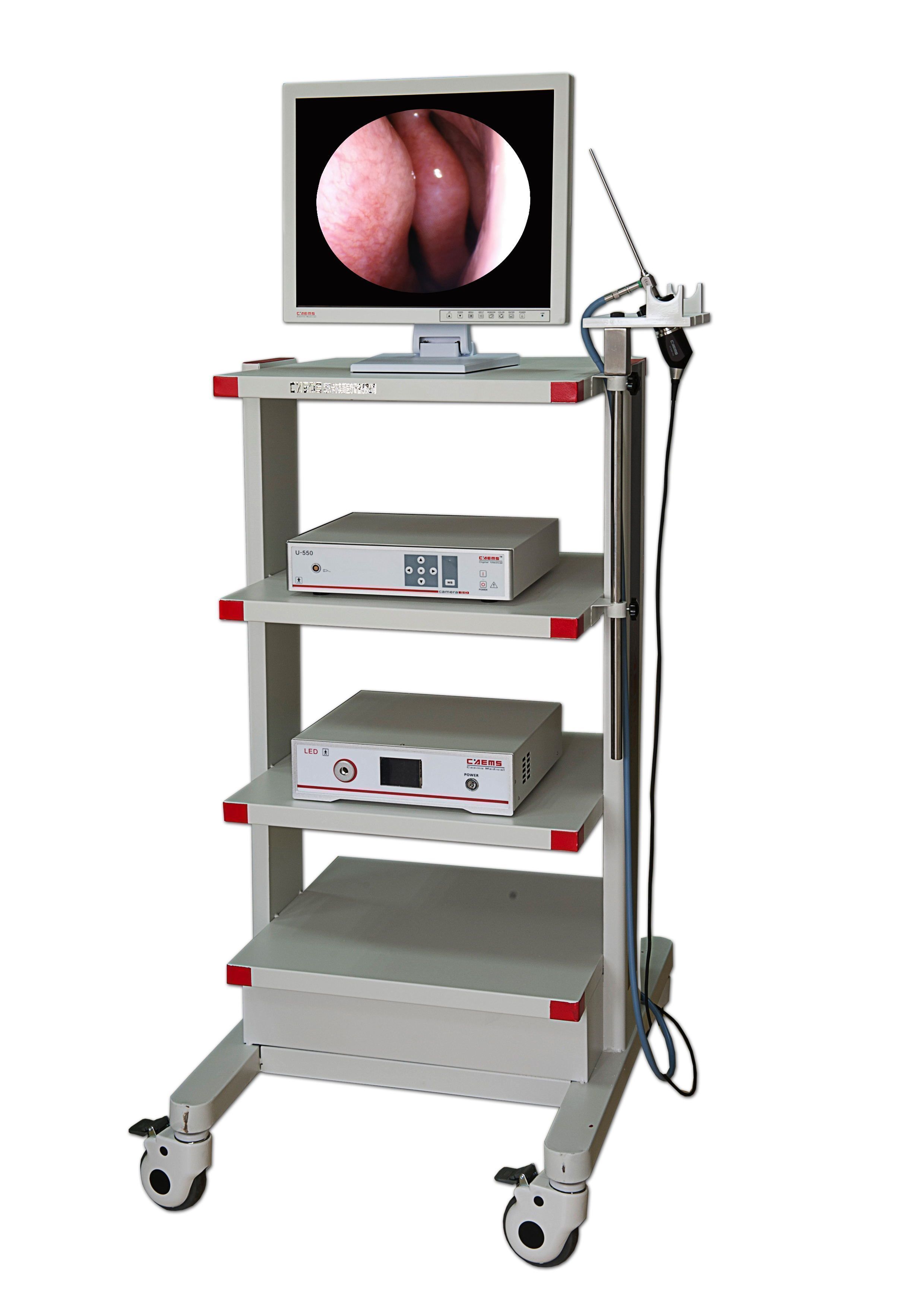 �᳦��/ֱ����