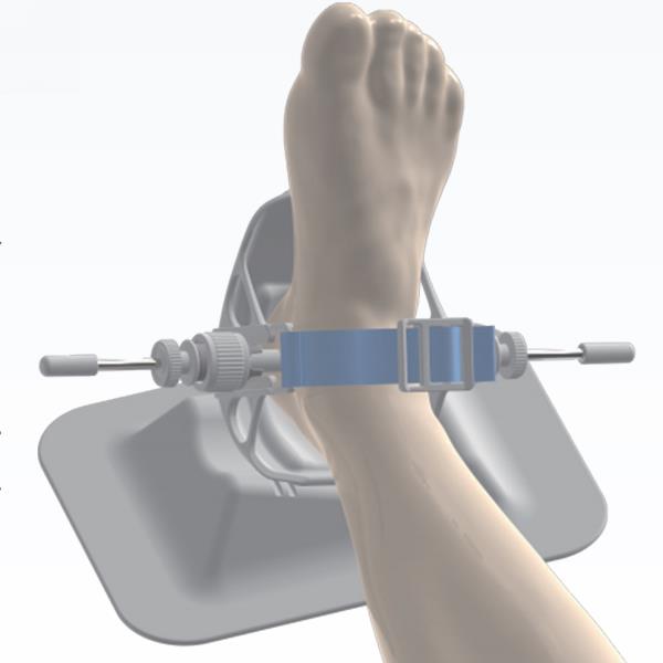 ǣ���� ǣ���� С�� �׹ؽڹ��������׼��/�ǿ������׼�� �ǿƺĲ�