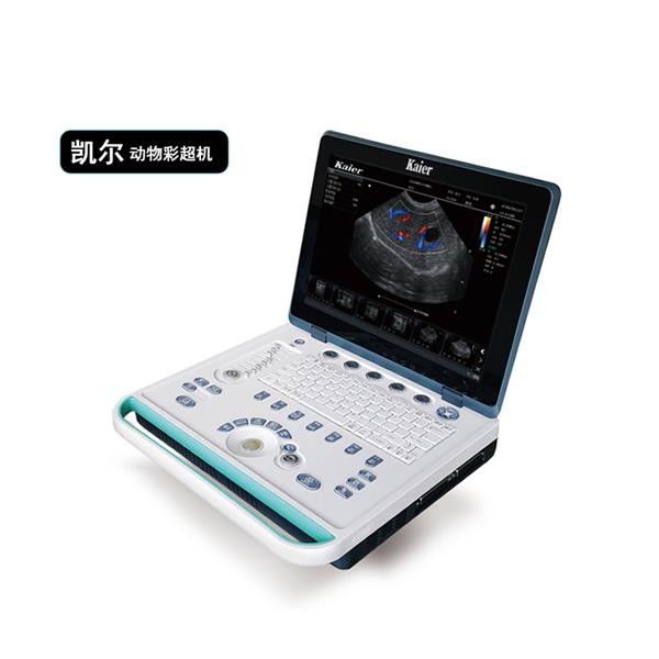 ����b���ǳ��ﶯ��b�������ó��������л�����������ʼǱ���Яʽ