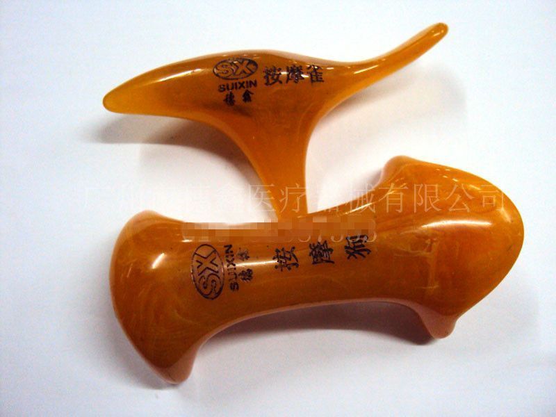 ��֬��Ħ������֬��Ħȸ