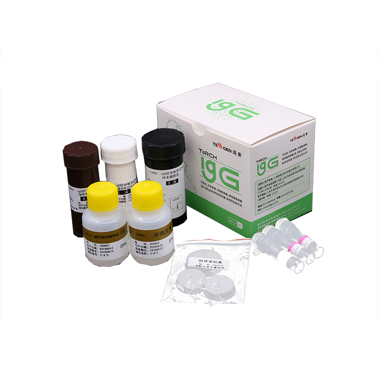 ToRCHʮ���������������Լ���