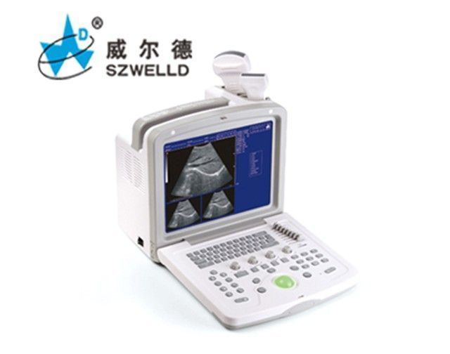 ���ֱ�Яʽb��