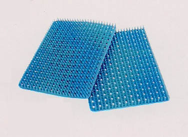 ���¹轺��