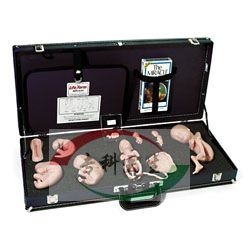 ��̥����ʾ�̳̽�