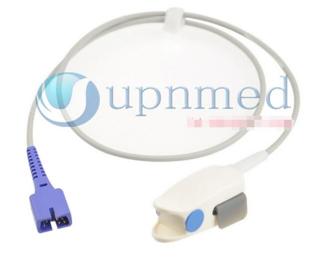 ������Ѫ��̽ͷ