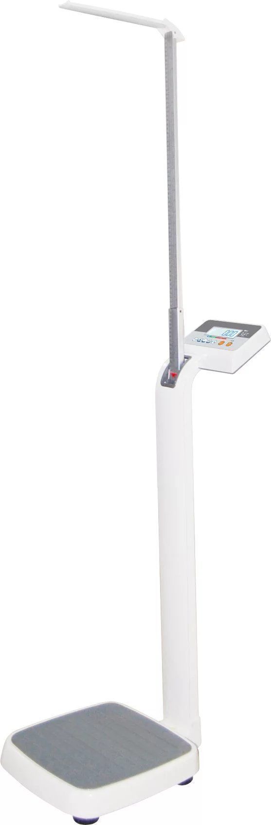 �������س�