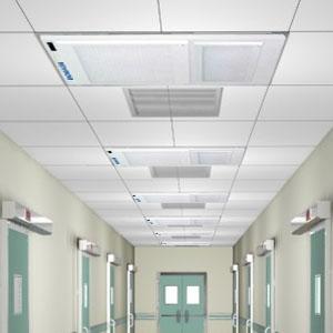 ������ר�ÿ����ྻ��