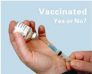 ����������ֿ������Լ���