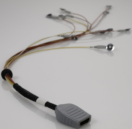 ���������Ȼ����ս���״�Ե�缫��Electrode Wire Harness+Adapter Cable