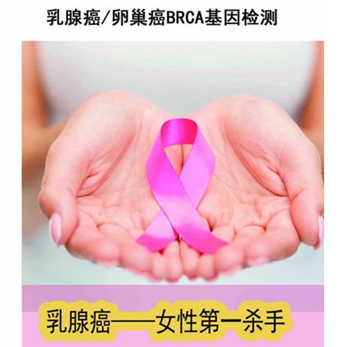 ���ٰ�/�ѳ���BRCA������
