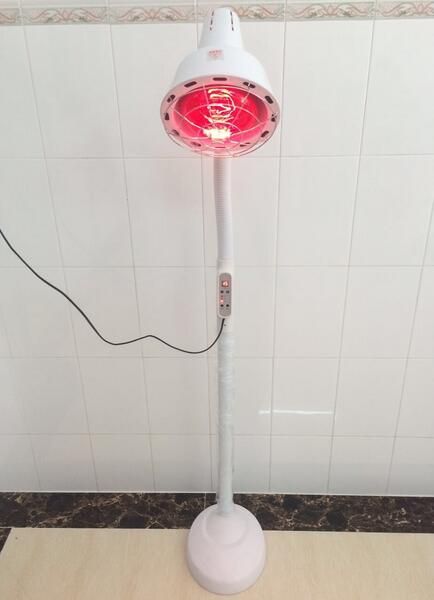 Զ���������Ƶ�